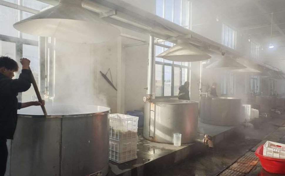 Bulk Hair Steam Washing Step steam washing bulk hair softening and cleaning process